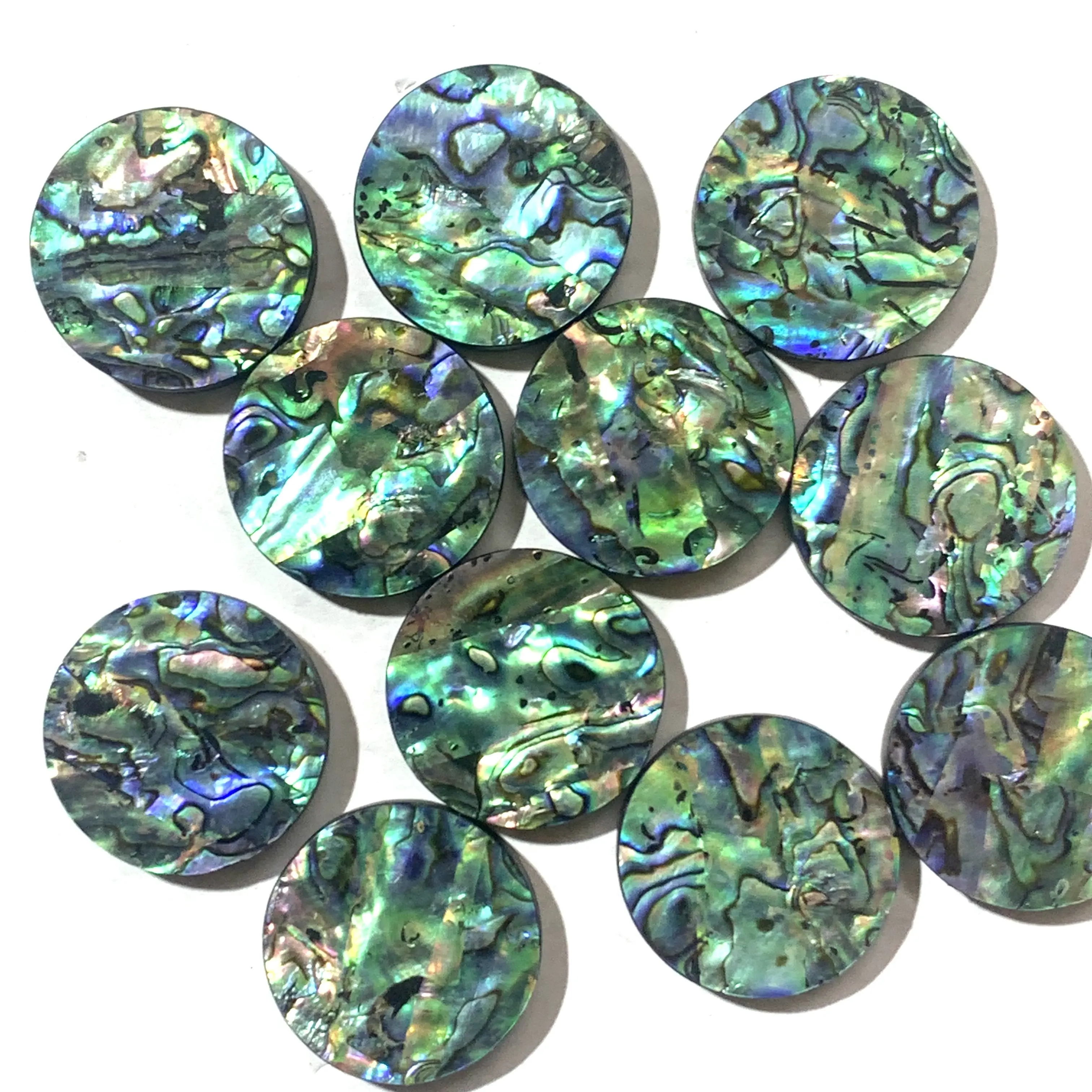 Abalone Shell Gemstone Round Flat Back Cabochon allentato gemma prezzo di fabbrica all'ingrosso Abalone Shell per gioielli