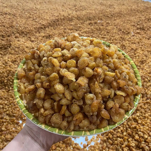 ผลไม้ธรรมชาติจากลำไยตากแห้งในเวียดนามสำหรับชาบับเบิ้ลไอศกรีมขนมเบเกอรี่และการทำอาหารรสหวาน - Product Image 1