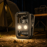 Lanterne de camping LED portable, lampe de travail extérieure rechargeable, charge USB, cadre métallique avec poignée et crochet