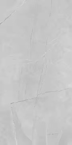 Berlistone Bianco 800x1600mm Carreaux de sol en porcelaine mat de qualité supérieure Inde Premium - Product Image 4