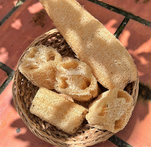 Depurador de esponja de lufa natural 100%, juego de 12cm, 2 paquetes, embalaje personalizado, proveedor cultivado en granja de lufa natural de Vietnam - Product Image 4