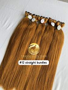 Haute qualité 100% vison cambodgien temple indien vierge 22 ''extension de faisceau droit couleur #12 doux 11A exportation de donneur unique - Product Image 2