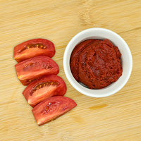 Purée de tomate concentrée évaporée filtrée 100% naturelle de haute qualité et délicieuse, 28 Brix, double polyliner, fût en acier Hunza 1
