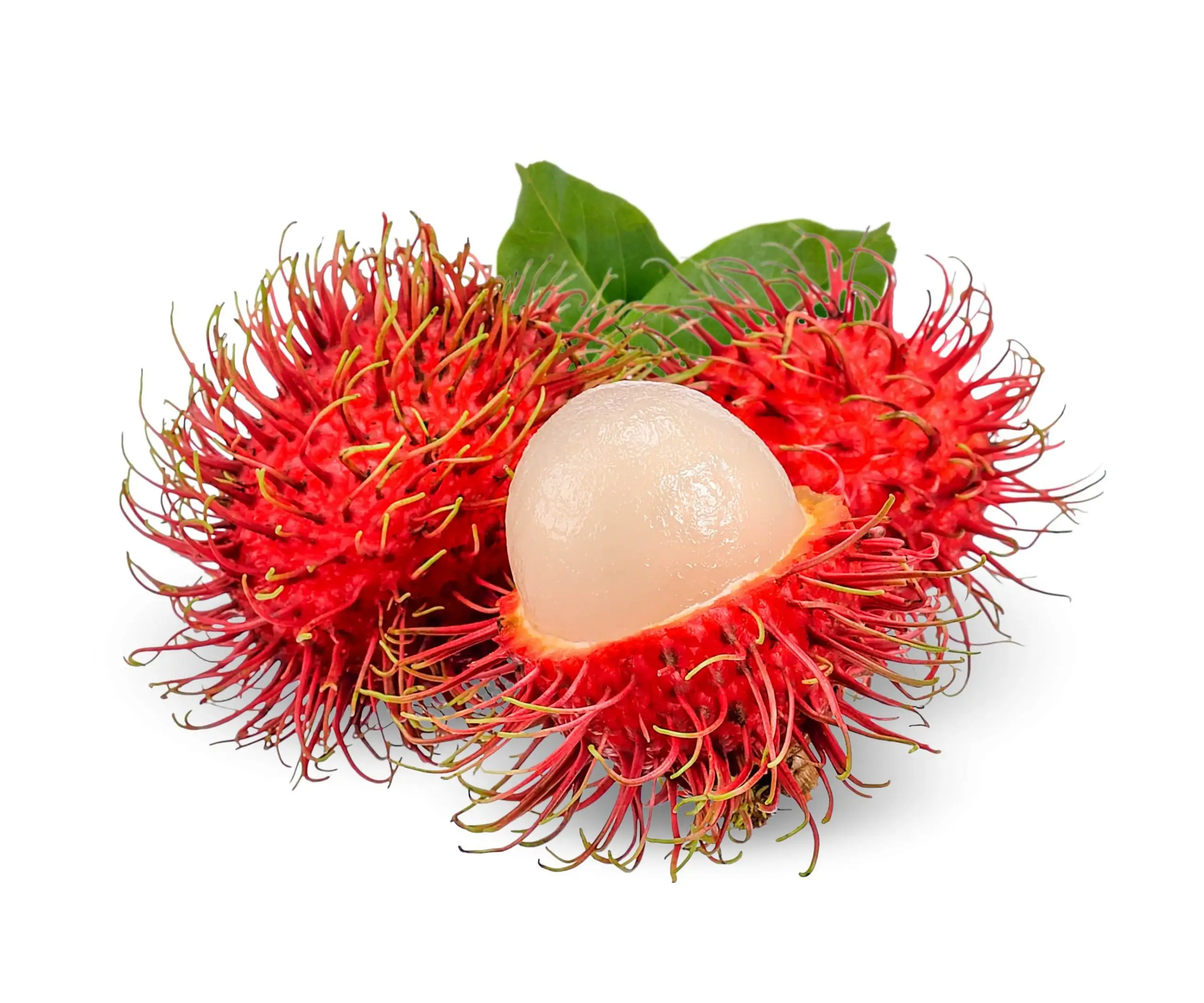 उच्च गुणवत्ता और प्रतिस्पर्धी मूल्य जमे हुए Rambutan वियतनाम से फल