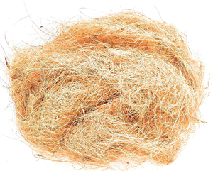 Nuevos productos de fibra de coco de tendencia orgánico natural puro de alta calidad Blanco natural para todas las estaciones - Product Image 3