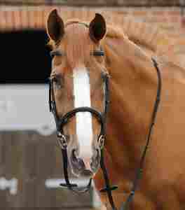 Rênes de course de qualité supérieure pour l'équitation 2026, rênes latérales antidérapantes, accessoires, fabricant, fournisseur, service OEM, vente en gros - Product Image 2