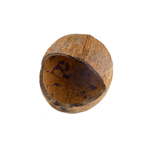 Cuencos para mascotas de cáscara de coco natural hechos a mano y comederos redondeados para pájaros ecológicos para uso alimentario - Product Image 4