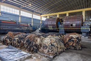 2025 peau et peau de vache et de mouton salées/séchées au soleil de haute qualité à vendre Documentation et emballage prêts - Product Image 6