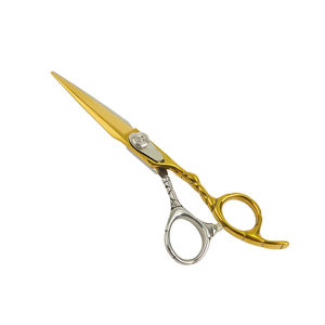 Tijeras de corte de pelo de Color dorado y plateado Tijeras de acero de metal para el hogar y el salón con tornillo de plata y reposapiés - Product Image 1