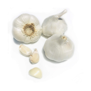 Best Quality Wholesale <b>Fresh</b> Peeled <b>Garlic</b> for Sale in Cheap Price - Product Image 4