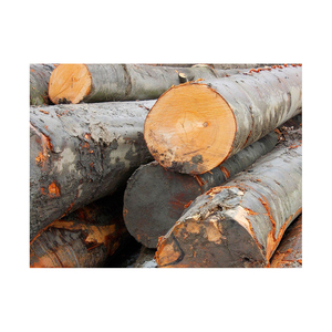 Louche en bois de hêtre naturel de 11 \ "écologique cuillère à soupe vaisselle de cuisine nouveau grand bois de bûche industriel de la chambre - Product Image 1