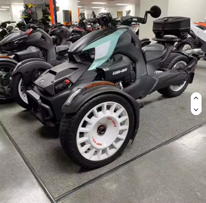 Super Offre 2025 : Panneaux Ryker Rally Rotax 900 ACE Epic - Product Image 3