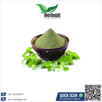 Poudre d'extrait de feuille de menthe soluble dans l'eau naturelle pure Extrait de fines herbes de qualité alimentaire saine 25 KG à bon prix