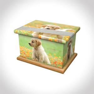 Boîte en bois Urne funéraire pour animaux de compagnie pour cendres d'animaux avec pattes imprimées - Product Image 3