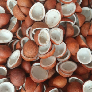 Coco Seco Entero Dulce Orgánico de Primera Calidad - 100% Natural, Secado al Vacío, Sin OMG, a Granel, Origen India, Calidad de Exportación - Product Image 2