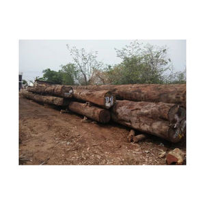 Pine Wood <b>Logs</b> Bulk for Timber Raw Materials Cheap Pine Wood <b>Logs</b> Timber Wood <b>Logs</b> Top Quality Kiln Dried Firewood - Product Image 5