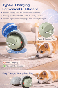 C Tipi Şarj Edilebilir Işıklı Elektrikli Yuvarlanan Köpek Topu Akıllı Uyandırma Etkileşimli İç Mekan Oyuncak Evcil Hayvan Oyuncağı - Product Image 2