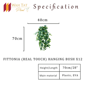 Planta Artificial Fittonia de 70cm, vegetación colgante con hojas de tacto Real, fábrica OEM al por mayor para paisajismo - Product Image 2