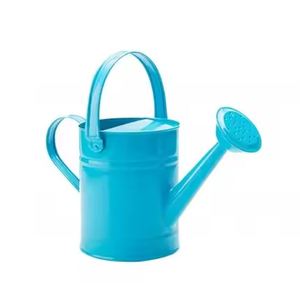 Arrosoir Plantes de jardin intérieures et extérieures Arrosoir Meilleure vente Conception avantageuse Galvanisé - Product Image 2