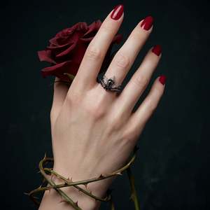 ชุดแหวนจี้รูปปีกค้างคาว ดาบ และโลงศพ ของเจลิยา ยูนทิล เดธ ดาร์กไนท์ - Product Image 2