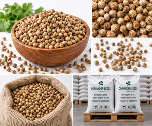 Semillas de Cilantro Orgánicas, Especias Enteras, Hierba Aromática Natural, Alta en Fibra y Proteína, 24 Meses de Duración, Seven Hills para Cocinar - Product Image 2