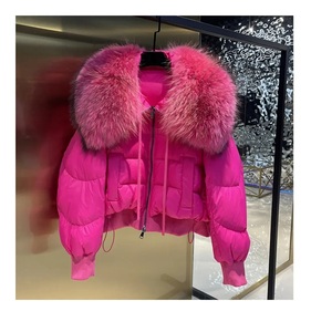 Veste bouffante manteau bouffant de haute qualité pour les femmes respirant coupe-vent grande taille hiver manteau en duvet pour femmes - Product Image 1