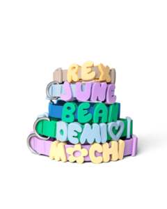 Accesorios para Perros, Nuevo Diseño de Fábrica, Collar y Correa para Perro DIY, Silicona de Grado Alimenticio, Collar Personalizado Impermeable con Dijes - Product Image 2