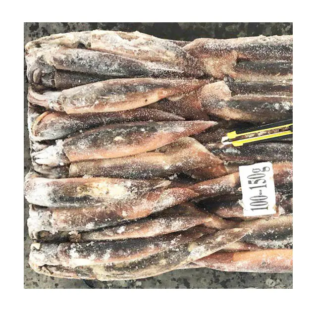 China gefrorener frischer ganzer Tintenfisch zum Verkauf