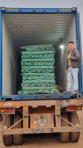 Directo de fábrica 100% palo de fregona de eucalipto GMEX al por mayor palos de madera cruda y recubiertos de PVC con tapón de cilantro para uso religioso - Product Image 3