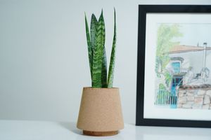 Jardinière moderne en liège à grain fin Pots de fleurs de table Jardinières pour la décoration de la maison pour la restauration à usage résidentiel - Product Image 2