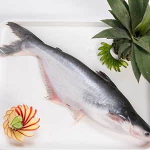 Vietnam IQF jaune Bullhead fruits de mer Pangasius rond entier dans l'emballage sous vide congelé 10kg poids 24 mois durée de conservation - Product Image 2
