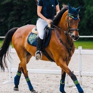 Almohadillas de sillín de poliéster y algodón con forro de tela 2025 - Product Image 5