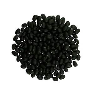 Haricots noirs de qualité supérieure, idéaux pour les acheteurs en gros, les producteurs alimentaires, les grossistes, les détaillants à la recherche de nutriments et de protéines élevées - Product Image 1