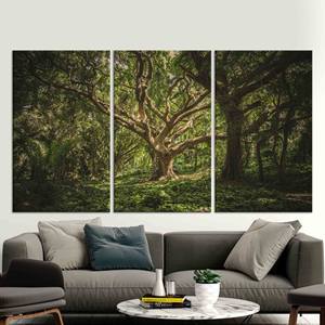 Impresión en lienzo de paisaje de árboles antiguos: arte minimalista de pared en vidrio templado, JUEGO DE 3 LIENZOS - Product Image 1