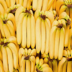 Approvisionnement en gros de bananes jaunes de haute qualité pour les bananes non OGM fraîches de ferme d'exportation pour les supermarchés et les chaînes d'épicerie - Product Image 3
