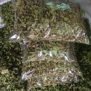 Bulk Dried Guava Leaves for <b>Tea</b> & Extracts From 100% Natural Leaf No Additives - Product Image 3