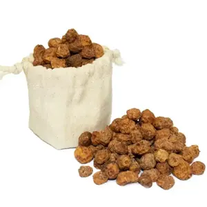 TIGER 너트 하이 퀄리티 비 GMO 도매 TIGERNuts 너트 및 판매를 위해 커널을 배송 준비