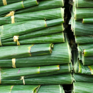 Feuilles de bananier surgelées de qualité supérieure pour l'emballage alimentaire et la cuisine, prix avantageux, 100% feuilles de bananier vertes fraîches - Product Image 2