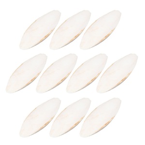 Os de seiche séchés, os de seiche secs à vendre, os de seiche transformés et non transformés, seiche séchée - Product Image 4