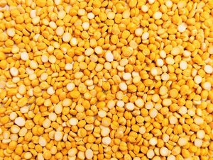 Chana Dal แยก bengal กรัม cicer arietinum เกรดอาหารทำความสะอาดความชื้นควบคุมความชื้นสีเหลืองสดใสแพ็ค99% - Product Image 4