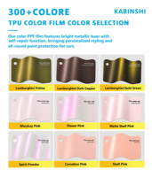 Film de protection de peinture (PPF) TPU mat rose auto-cicatrisant pour l'habillage automobile, anti-rayures, pour ateliers de tuning, vente en gros