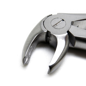 Juego de fórceps de extracción de dientes con patrón inglés Instrumentos dentales Molares izquierdos con fórceps de extracción de acero inoxidable - Product Image 4