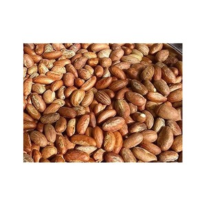 การ์ซิเนียโกลา/ถั่วโคล่ารสขมออร์แกนิกสด - Product Image 2