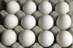 ไข่ไก่สดสีขาว ออร์แกนิค ไข่สัตว์ปีก จำหน่ายส่ง โปรตีนสูง สำหรับธุรกิจอาหาร - Product Image 4