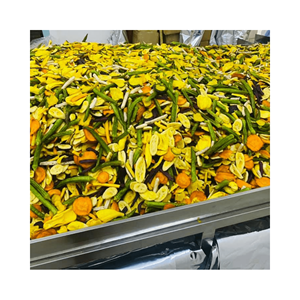 ชิปสุญญากาศสำหรับทอดผักและผลไม้อบแห้งรสชาติหวาน - Product Image 5