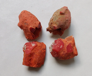 Coral italiano natural en bruto | Arrecife de coral rojo | Piedra preciosa de coral en bruto no pulida del Mar Mediterráneo - Product Image 2