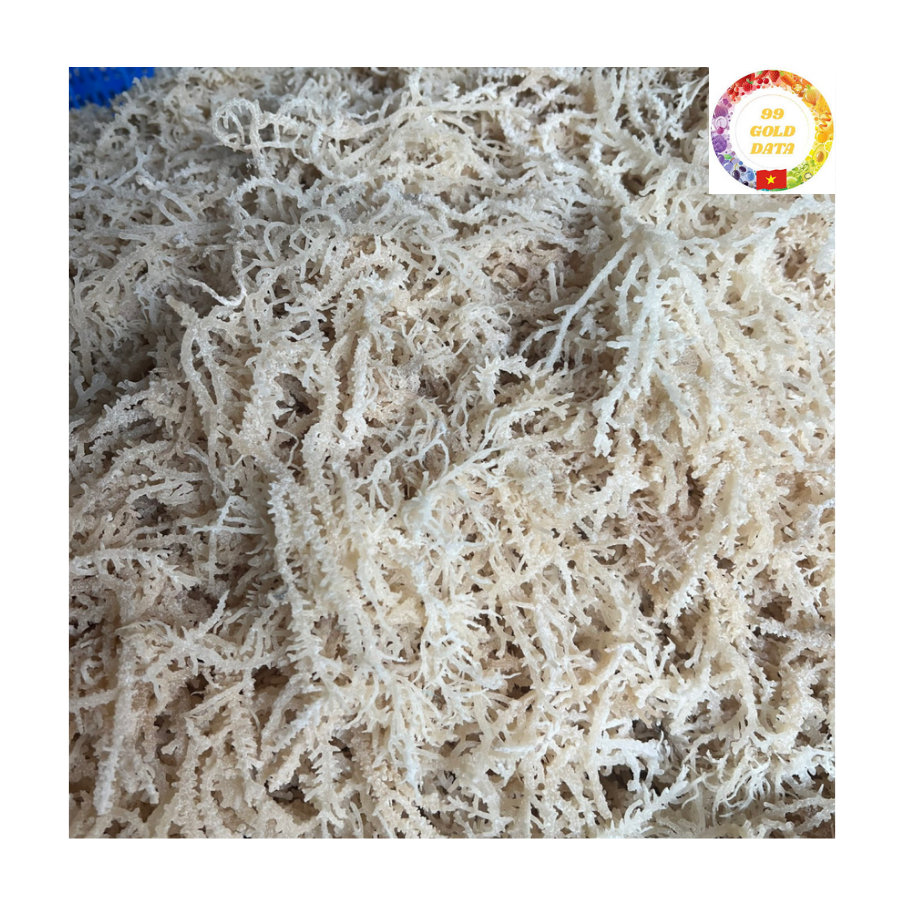 Оптовая продажа Сушеных Водорослей Eucheuma Cottonii из Вьетнама, высококачественный Чистый органический морской мох для продуктов питания и напитков