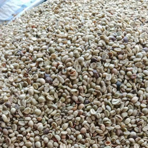 เมล็ดกาแฟคั่วสีเขียวอาราบิก้าขนาด16 A PLUS 95-99% บริสุทธิ์ธรรมชาติ50กก. - Product Image 3