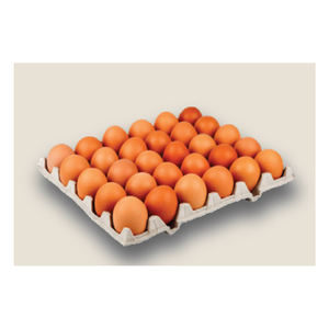 Huevos de Gallina Naturales de Turquía, los Más Vendidos – Producto Animal Fresco de Alta Calidad, Precio al por Mayor, Opción Saludable - Product Image 1