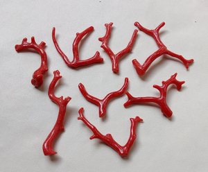 ¡Coral! Piedra preciosa de Coral italiano Natural 100%, ramas de palitos de Coral rojo, ramas de Coral bien pulidas de calidad AAA, palitos de Coral - Product Image 4